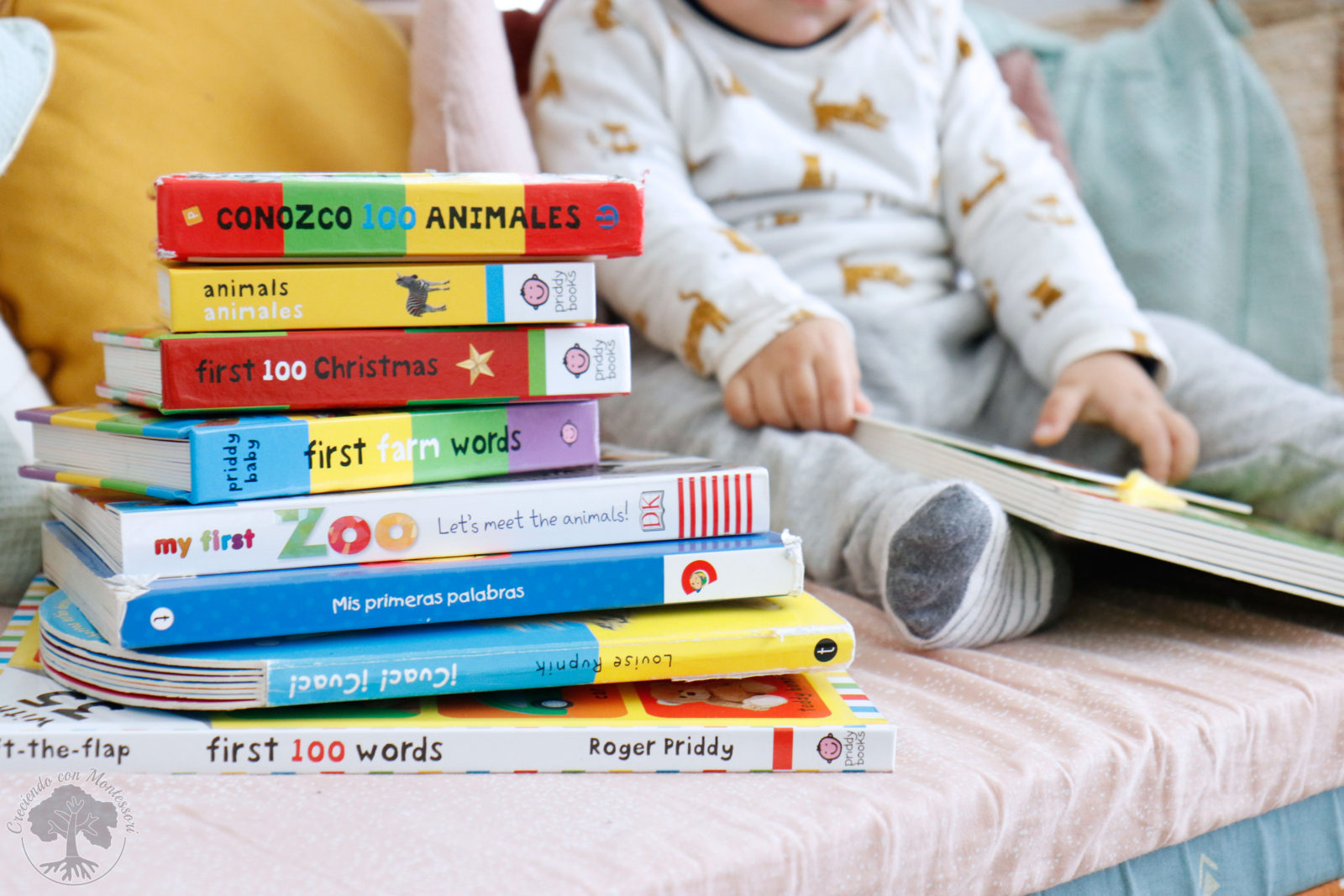 Primeros Libros con Imágenes Reales – Creciendo Con Montessori