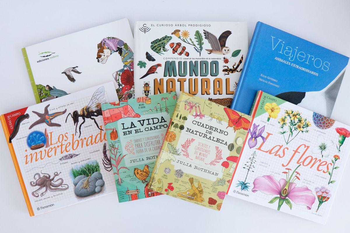 ▷ Selección de mejores libros Montessori para padres