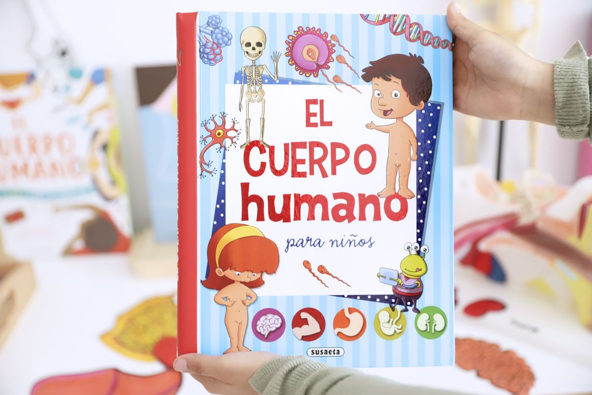 pesado rechazo Actualizar 10 Libros para niños sobre el cuerpo humano – Creciendo Con Montessori