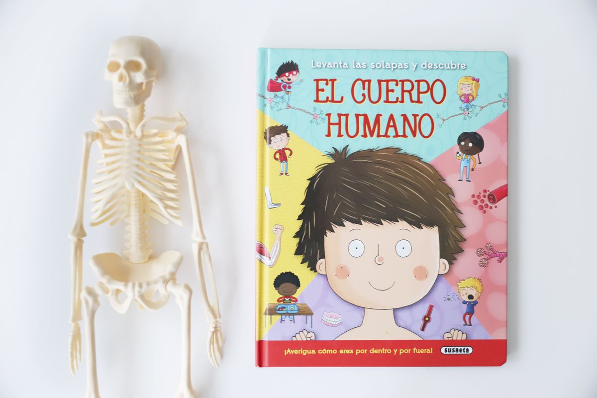 pesado rechazo Actualizar 10 Libros para niños sobre el cuerpo humano – Creciendo Con Montessori