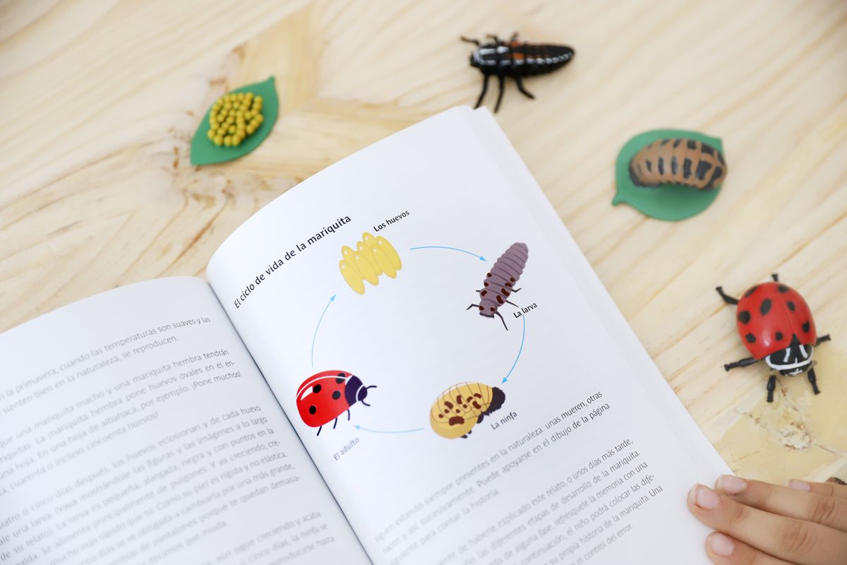 Libros Pedagógicos Montessori Paso a Paso de Escuela Viva – Creciendo Con  Montessori