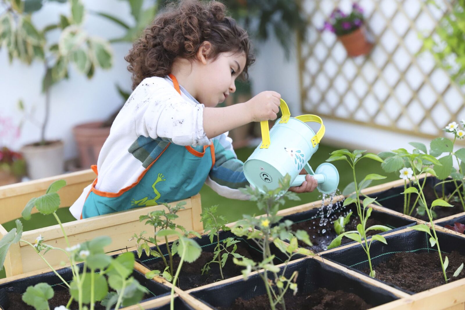 Huerto urbano. Qué es y cómo empezar a plantar en casa