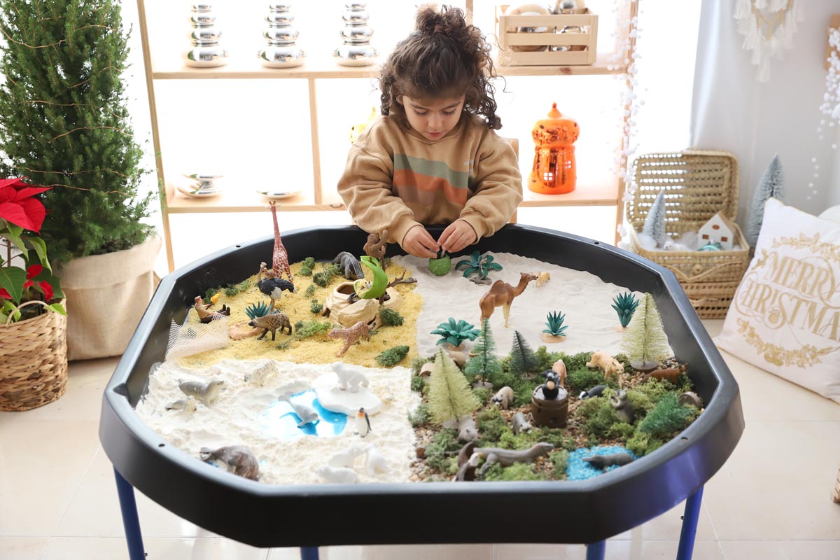Set De 4 Juegos Montessori - Juguetería la Casita en el Árbol